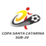 Copa Santa Catarina