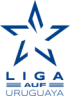 Copa De La Liga Auf