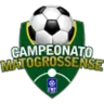 Matogrossense