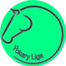 Ýokary Liga
