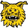 Ilves Tampere