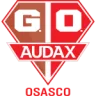 Gremio Osasco Audax