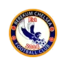 Berekum Chelsea