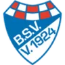 Brinkumer SV