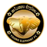 Young Elephant