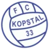 Kopstal 33
