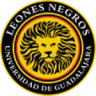 Leones Negros