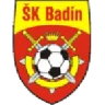 Badín