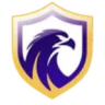 Falcon U20