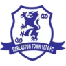 Darlaston Town