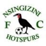 Nsingizini Hotspurs