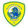 Canterbury Bankstown