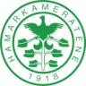 HamKam U19