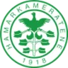 HamKam II