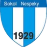 Sokol Nespeky