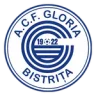 Gloria Bistriţa