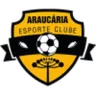 Araucaria U20