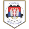 Dianella White Eagle