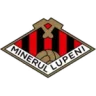 Minerul Lupeni