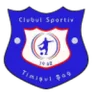 Timişul Şag