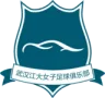 Wuhan Jiangda W