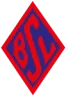 Blumenthaler SV U19