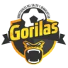 Gorilas de Juanacatlan