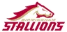 Stallion W