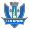 CSM Targu Jiu