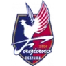 Fagiano Okayama