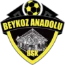 Tuzlaspor