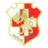 Naxxar Lions