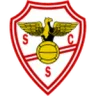 Salgueiros