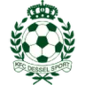 Dessel Sport