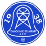 Dundonald Bluebell