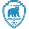 Unirea Bascov