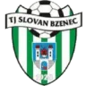 Bzenec