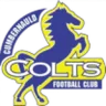 Cumbernauld Colts