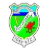 Pontardawe Town