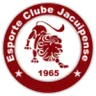 Jacuipense