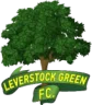 Leverstock Green