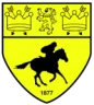 Newmarket Town